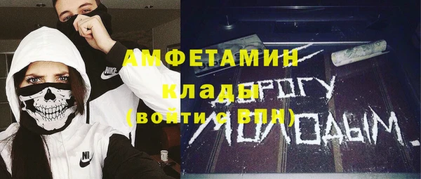 шишки Абинск